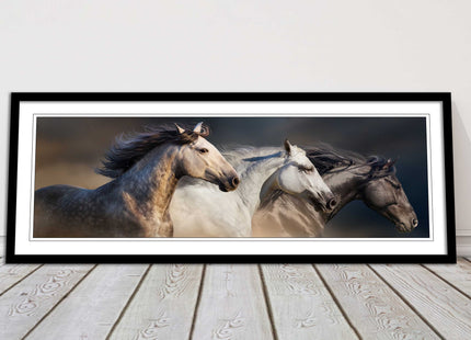 Wild Horses galloping Panoramic framed picture print A choice of picture frames.