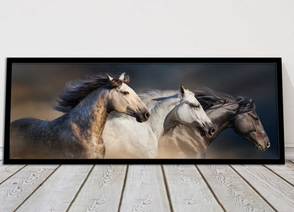 Wild Horses galloping Panoramic framed picture print A choice of picture frames.