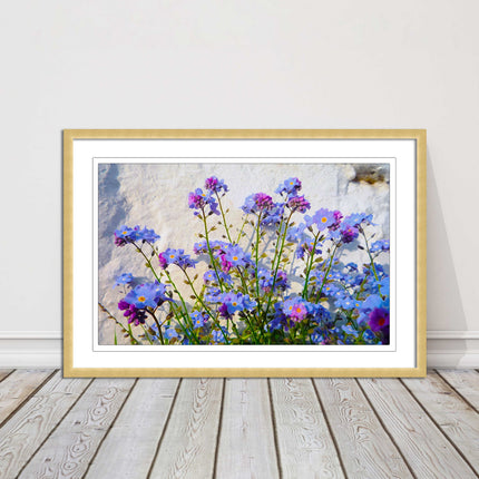 Forget me nots, white stone wall. Framed picture print, choice of frame colours