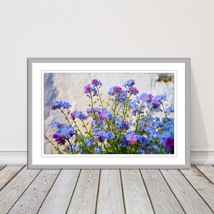 Forget me nots, white stone wall. Framed picture print, choice of frame colours