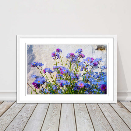 Forget me nots, white stone wall. Framed picture print, choice of frame colours