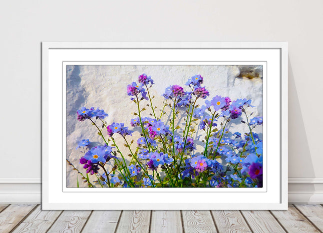 Forget me nots, white stone wall. Framed picture print, choice of frame colours