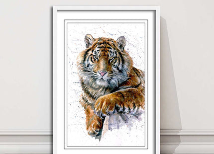 Tiger portrait painting with colour splash framed print choice on colours