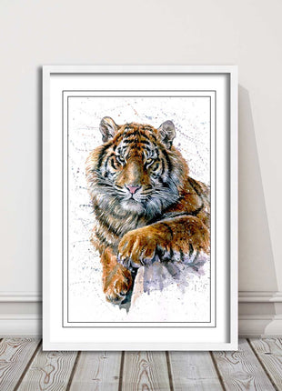 Tiger portrait painting with colour splash framed print choice on colours