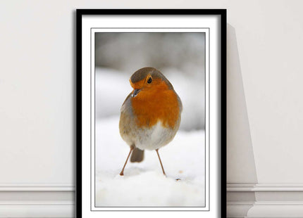 picture frame wall art robin in the snowprinted and frame included
