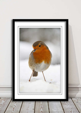 picture frame wall art robin in the snowprinted and frame included