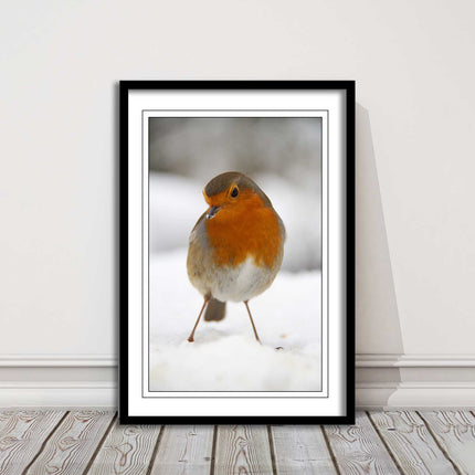 picture frame wall art robin in the snowprinted and frame included
