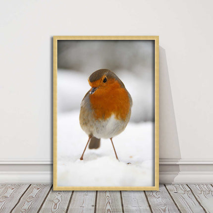 picture frame wall art robin in the snowprinted and frame included