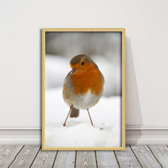 picture frame wall art robin in the snowprinted and frame included