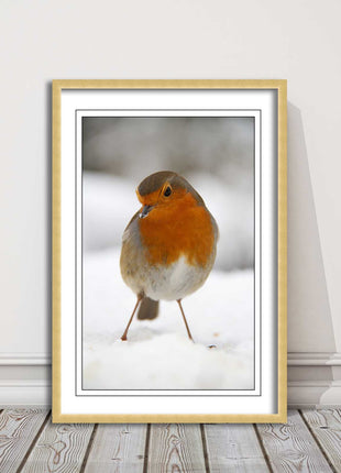 picture frame wall art robin in the snowprinted and frame included