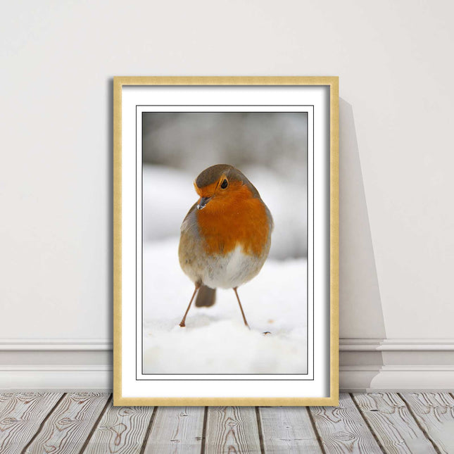 picture frame wall art robin in the snowprinted and frame included