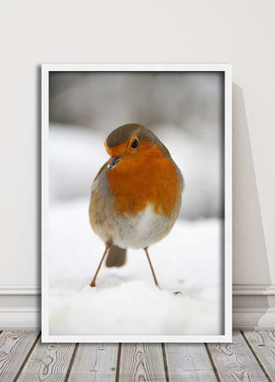 picture frame wall art robin in the snowprinted and frame included