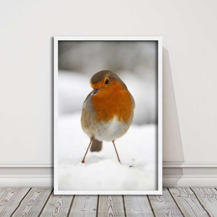 picture frame wall art robin in the snowprinted and frame included