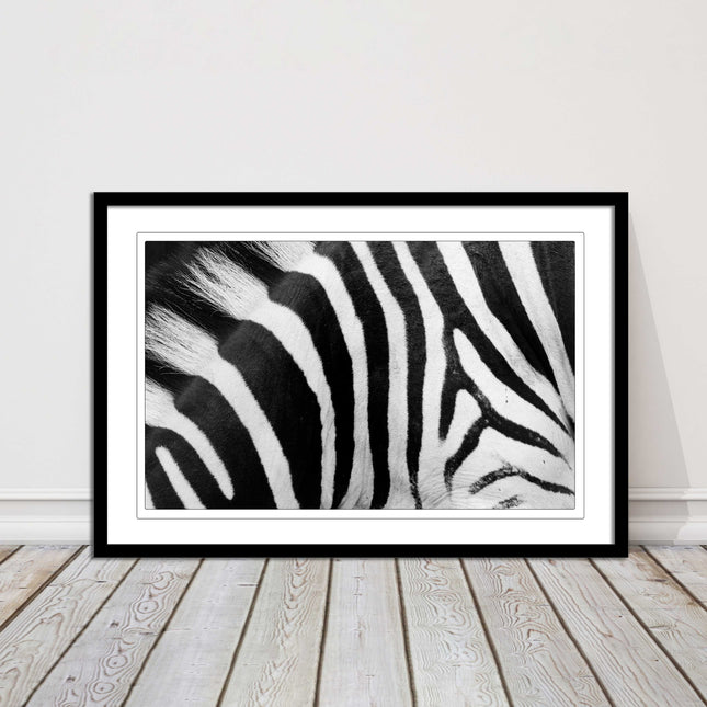 Zebra close up image. Framed picture, with choice of frame colours and options.