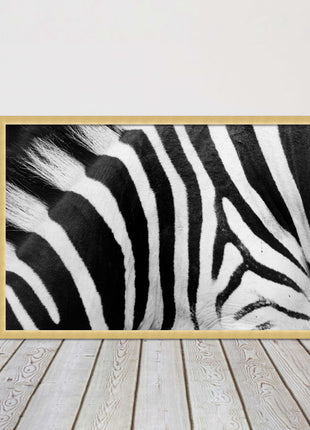 Zebra close up image. Framed picture, with choice of frame colours and options.