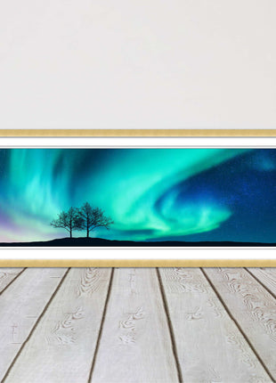 Aurora Borealis, with silhouette of trees. Panoramic framed picture print choice
