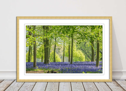 picture frame bluebells in the woods ready to hang wall art home decor framed