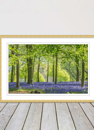 picture frame bluebells in the woods ready to hang wall art home decor framed