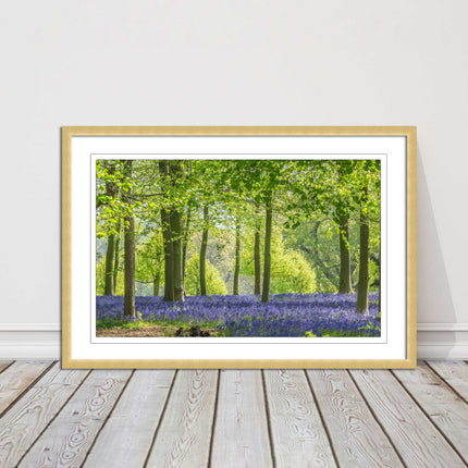 picture frame bluebells in the woods ready to hang wall art home decor framed