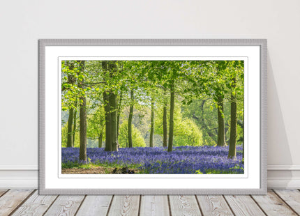 picture frame bluebells in the woods ready to hang wall art home decor framed