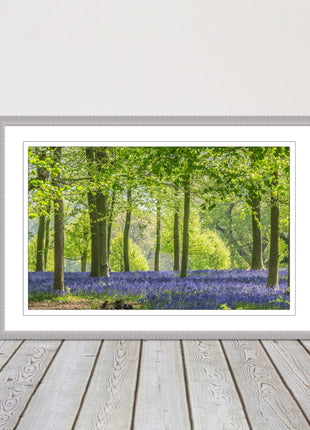 picture frame bluebells in the woods ready to hang wall art home decor framed