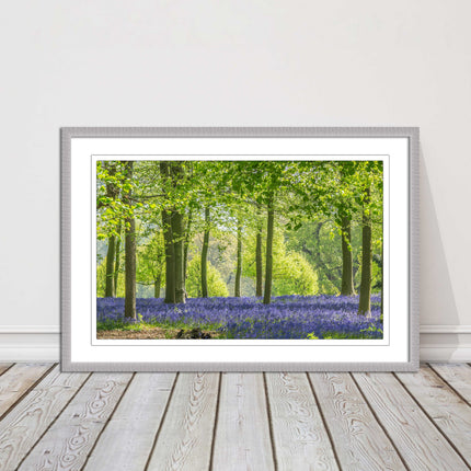 picture frame bluebells in the woods ready to hang wall art home decor framed