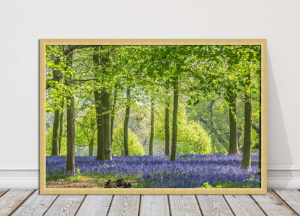 picture frame bluebells in the woods ready to hang wall art home decor framed