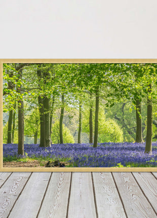 picture frame bluebells in the woods ready to hang wall art home decor framed