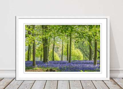 picture frame bluebells in the woods ready to hang wall art home decor framed