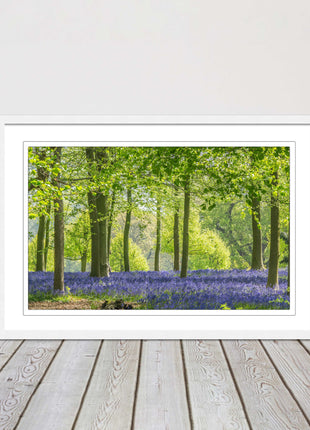 picture frame bluebells in the woods ready to hang wall art home decor framed
