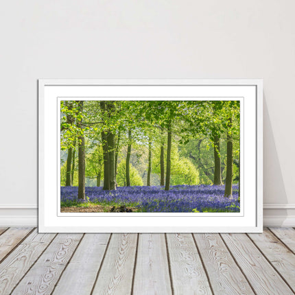 picture frame bluebells in the woods ready to hang wall art home decor framed