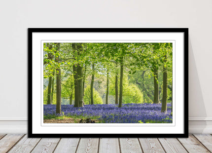 picture frame bluebells in the woods ready to hang wall art home decor framed