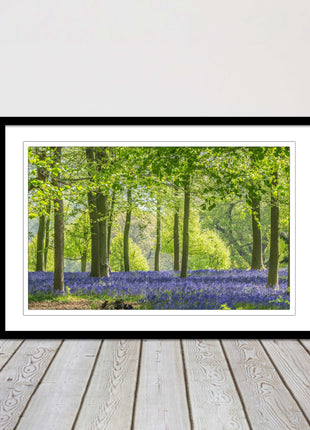 picture frame bluebells in the woods ready to hang wall art home decor framed