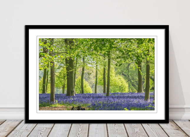 picture frame bluebells in the woods ready to hang wall art home decor framed