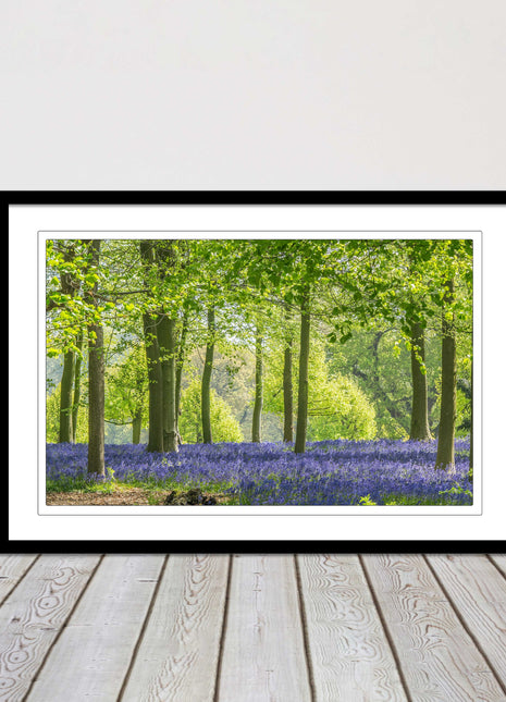 picture frame bluebells in the woods ready to hang wall art home decor framed