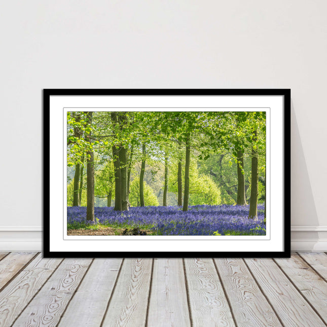 picture frame bluebells in the woods ready to hang wall art home decor framed