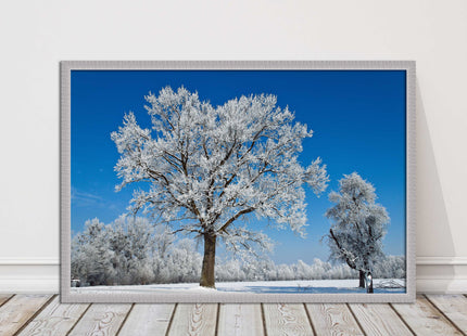 Snow covered trees under a blue sky. Framed picture with choice of frame colours