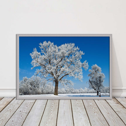 Snow covered trees under a blue sky. Framed picture with choice of frame colours