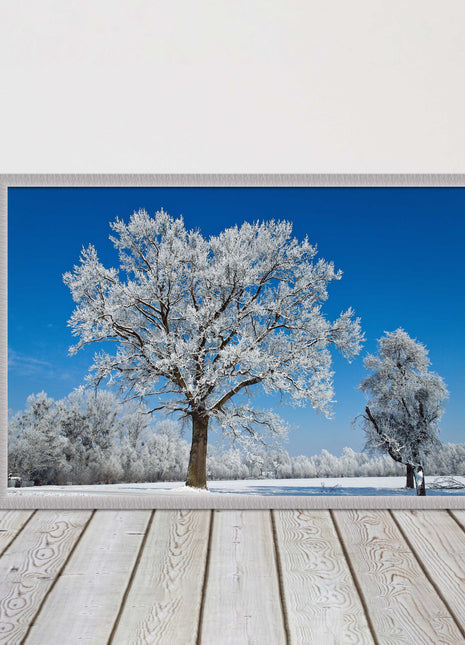 Snow covered trees under a blue sky. Framed picture with choice of frame colours