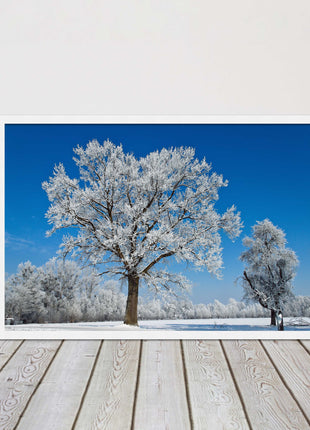 Snow covered trees under a blue sky. Framed picture with choice of frame colours