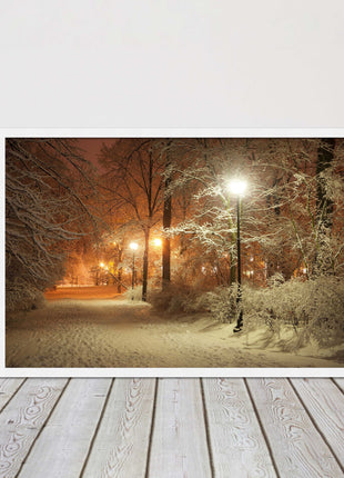 Winter scene at night. Framed picture with choice of frame colours.