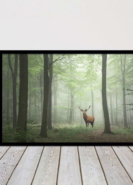 Stag in a misty forest. Framed picture with choice of frame colours and options.