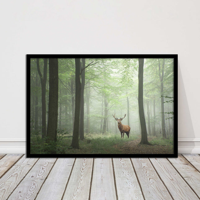 Stag in a misty forest. Framed picture with choice of frame colours and options.