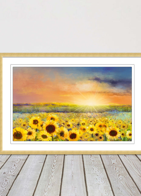 Sunflower field under a sunset. Framed picture with choice of frame colours.