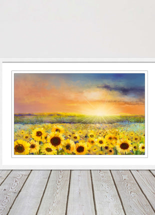 Sunflower field under a sunset. Framed picture with choice of frame colours.