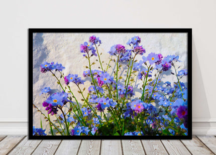 Forget me nots, white stone wall. Framed picture print, choice of frame colours
