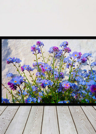 Forget me nots, white stone wall. Framed picture print, choice of frame colours