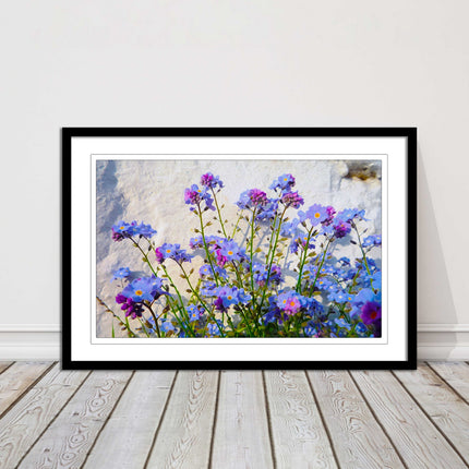 Forget me nots, white stone wall. Framed picture print, choice of frame colours