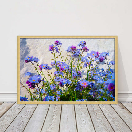 Forget me nots, white stone wall. Framed picture print, choice of frame colours