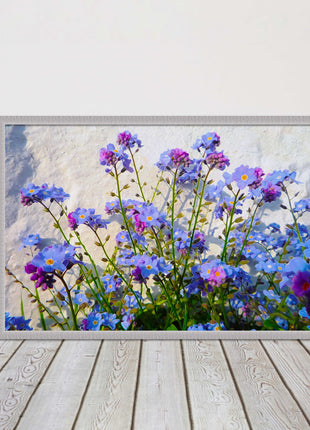 Forget me nots, white stone wall. Framed picture print, choice of frame colours